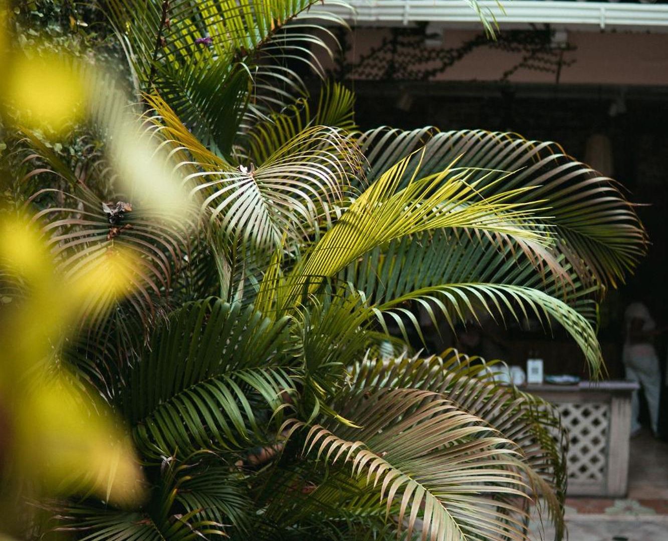 Hotel Casa Zahri Boutique *