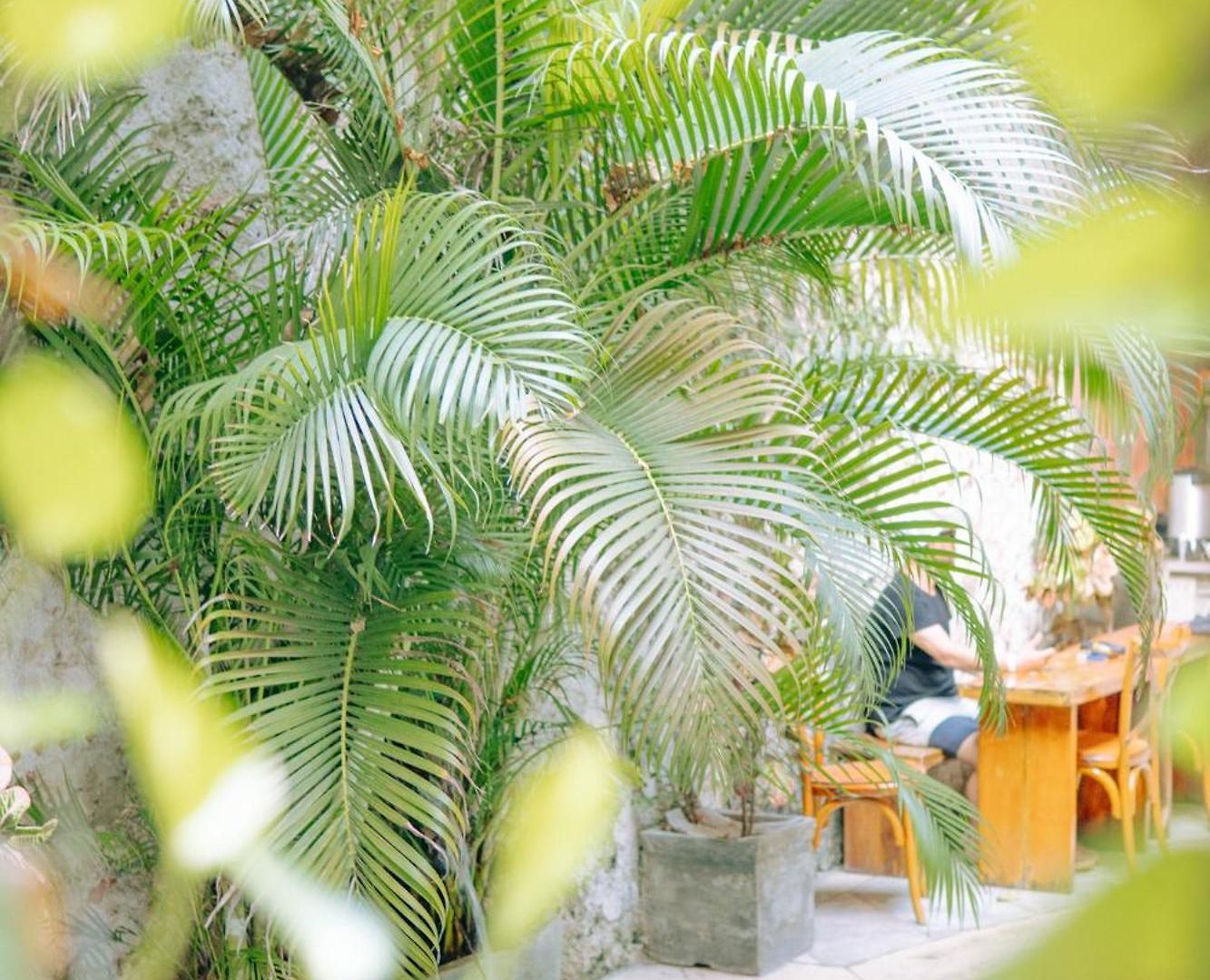 Casa Zahri Boutique Hotel Cartagena