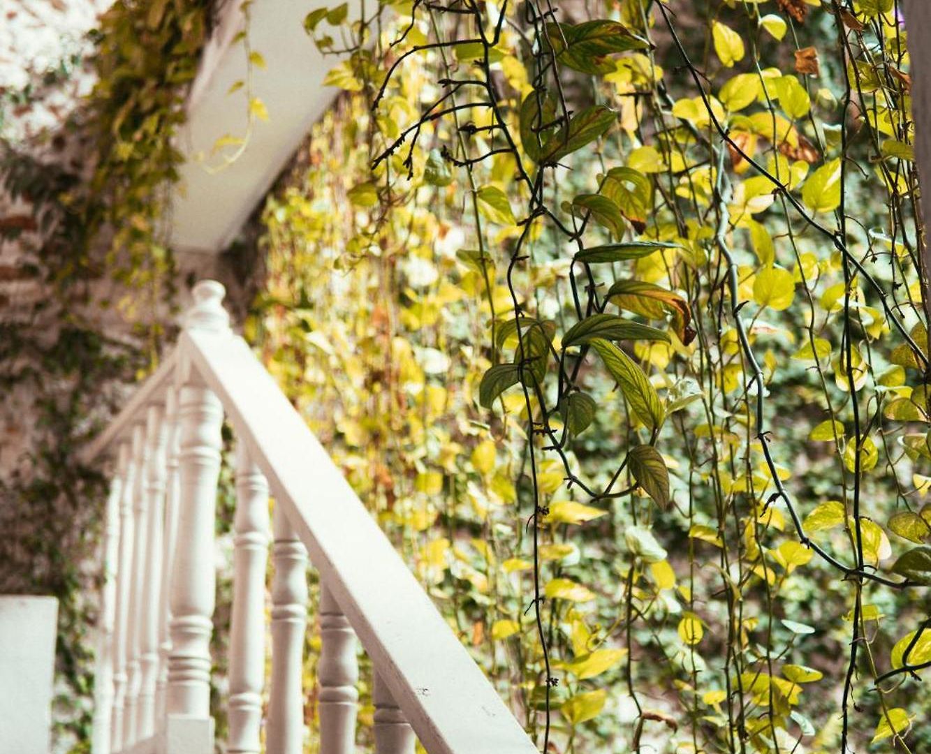 Casa Zahri Boutique Cartagena