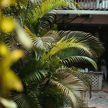 Hotel Casa Zahri Boutique *