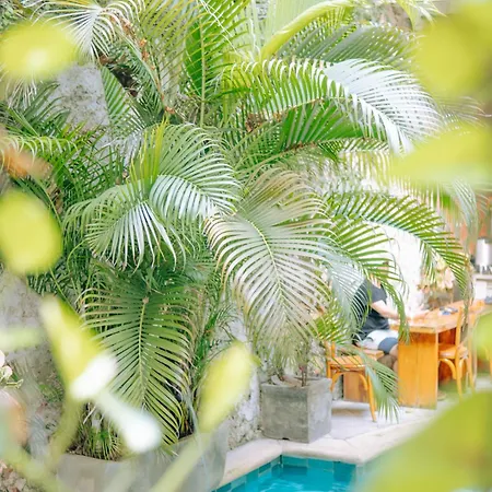 Casa Zahri Boutique Hotel Cartagena