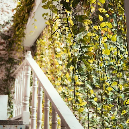 Casa Zahri Boutique Cartagena
